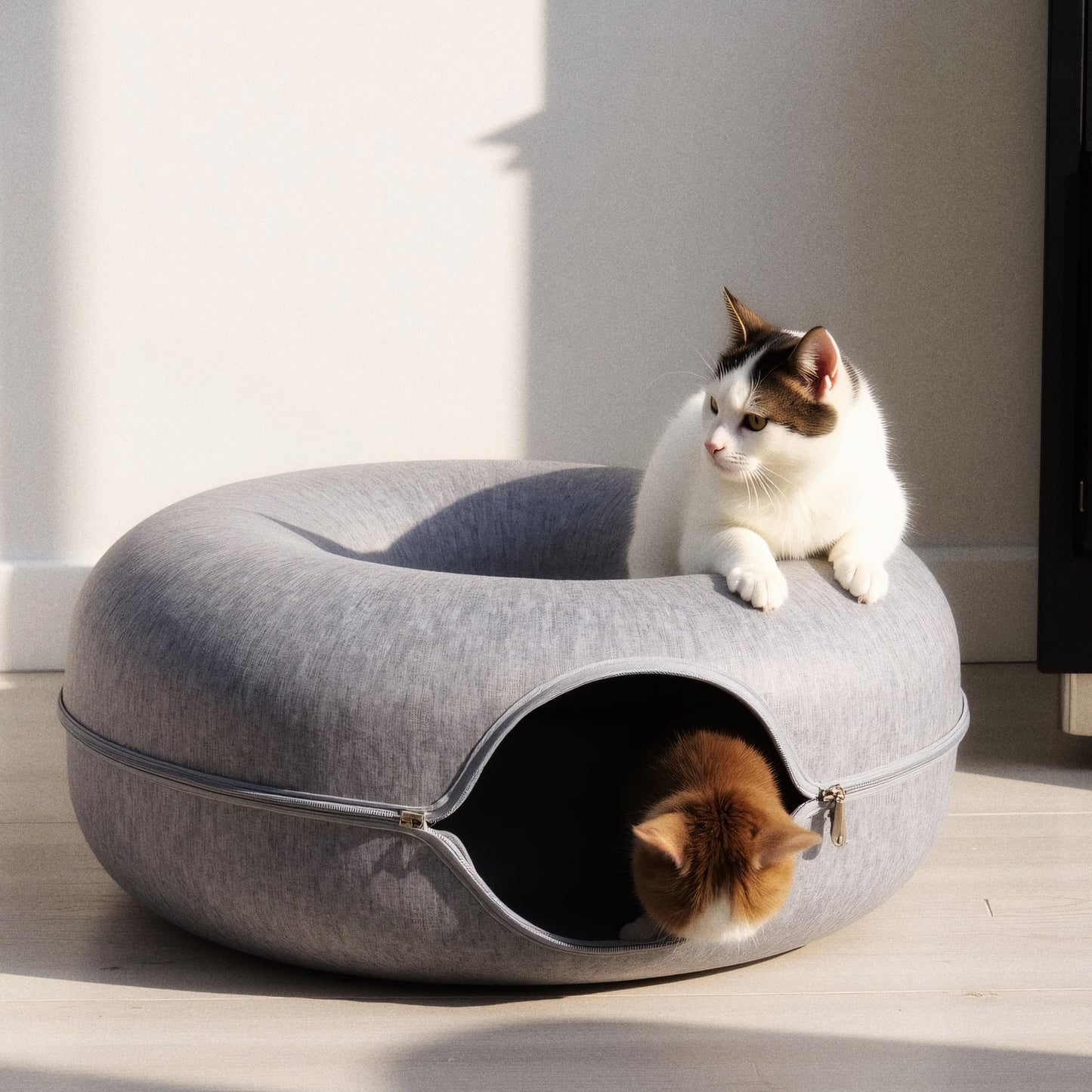 cat bed